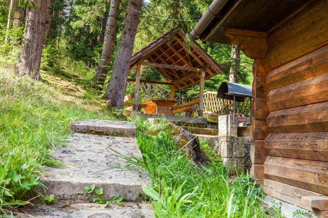 Hotel Альпина Jaremtsche Exterior foto