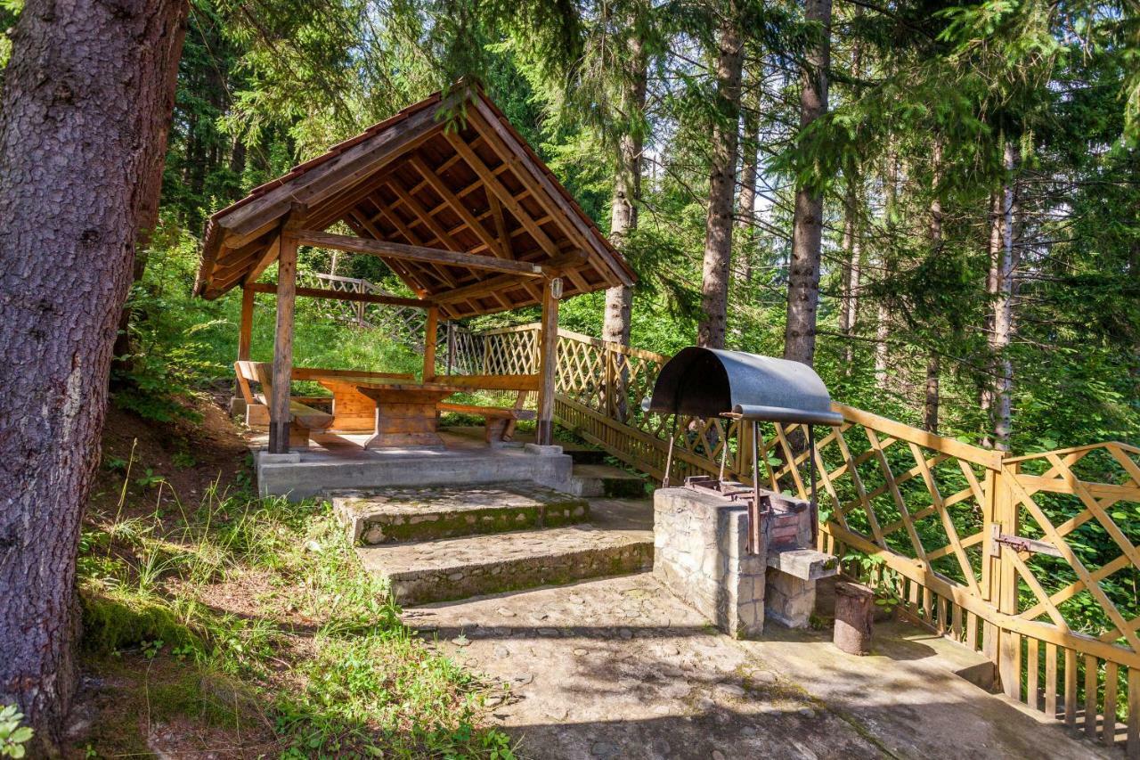 Hotel Альпина Jaremtsche Exterior foto