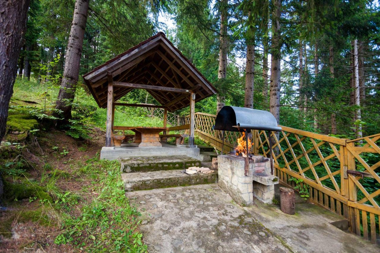 Hotel Альпина Jaremtsche Exterior foto
