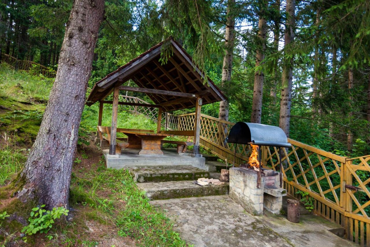 Hotel Альпина Jaremtsche Exterior foto