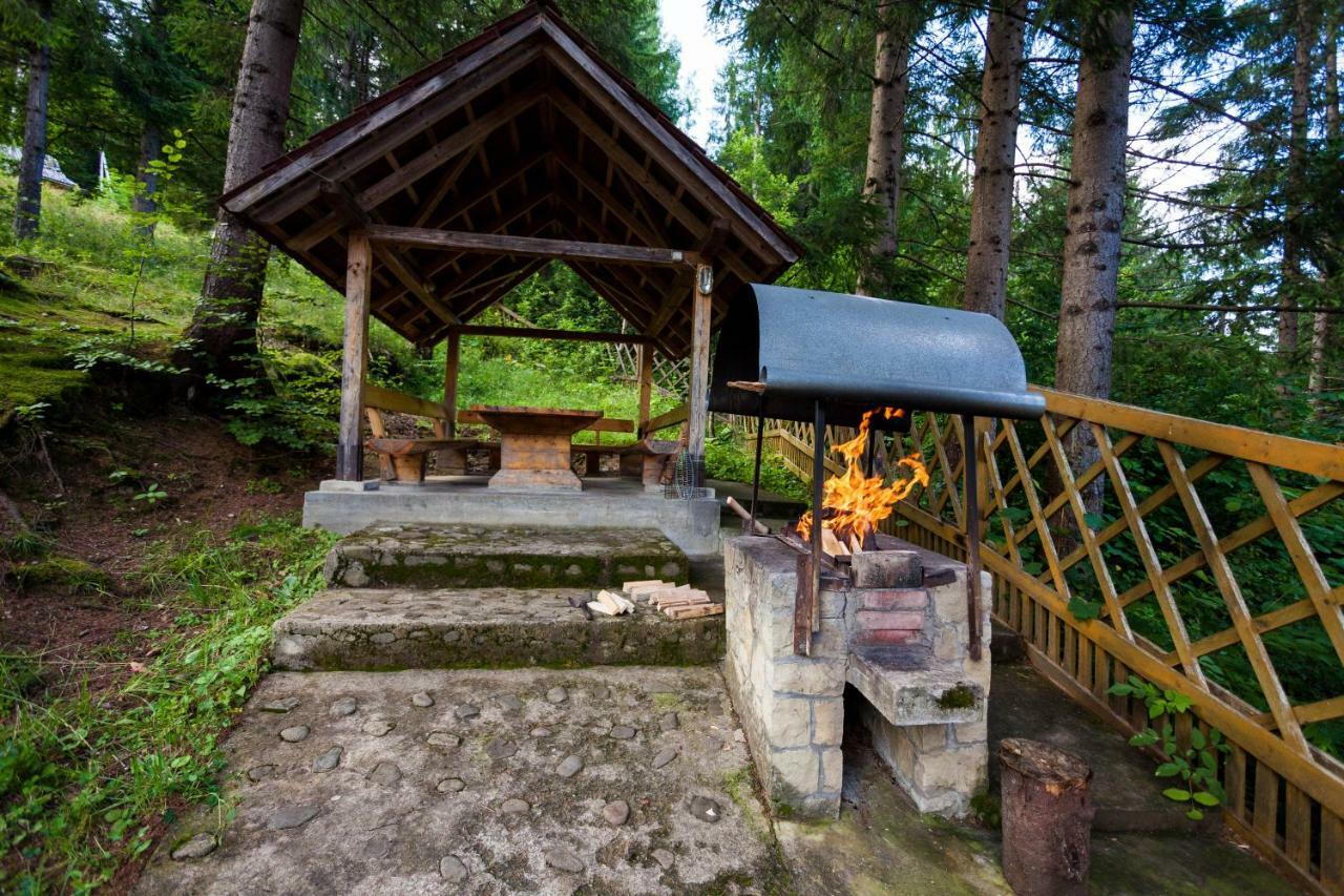Hotel Альпина Jaremtsche Exterior foto