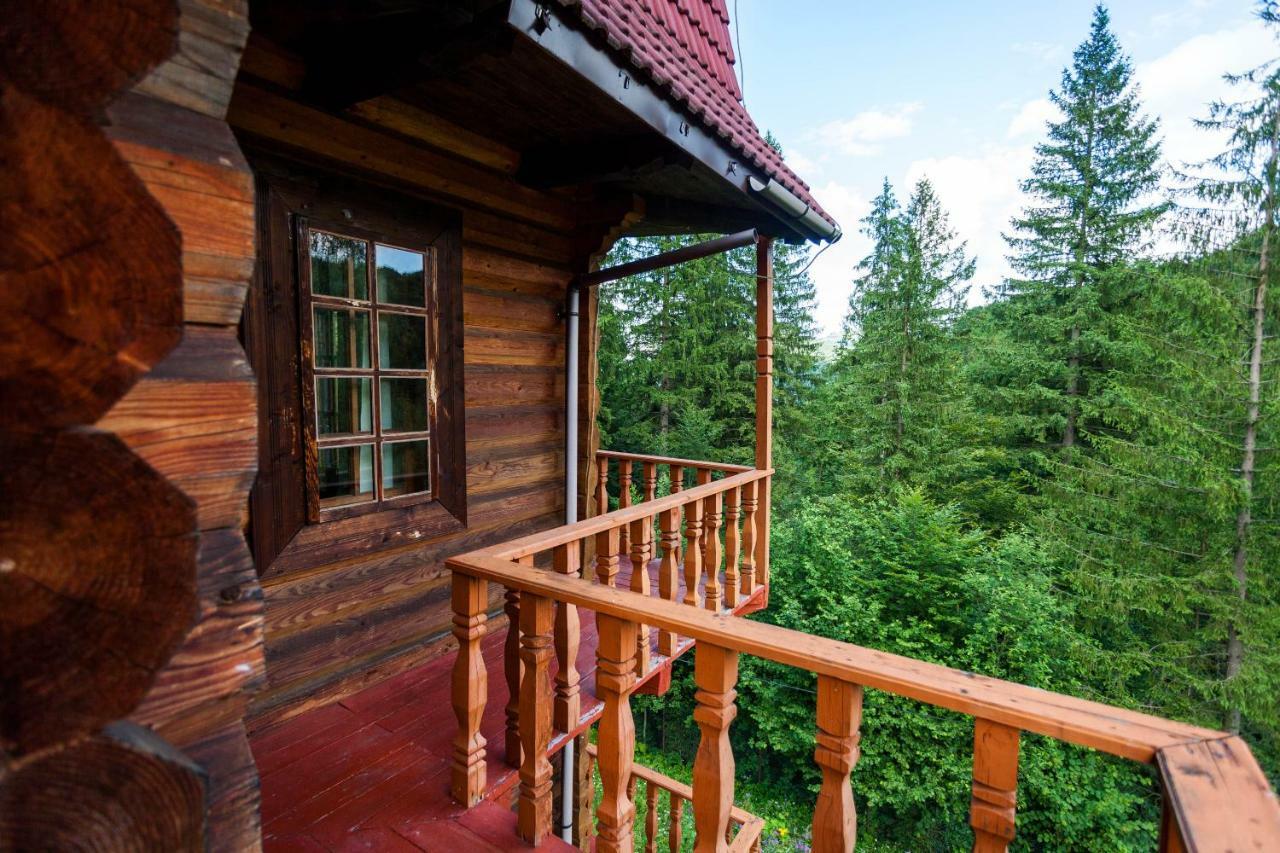 Hotel Альпина Jaremtsche Exterior foto